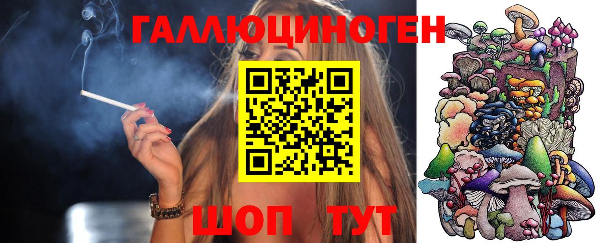 ГАШ Шебекино