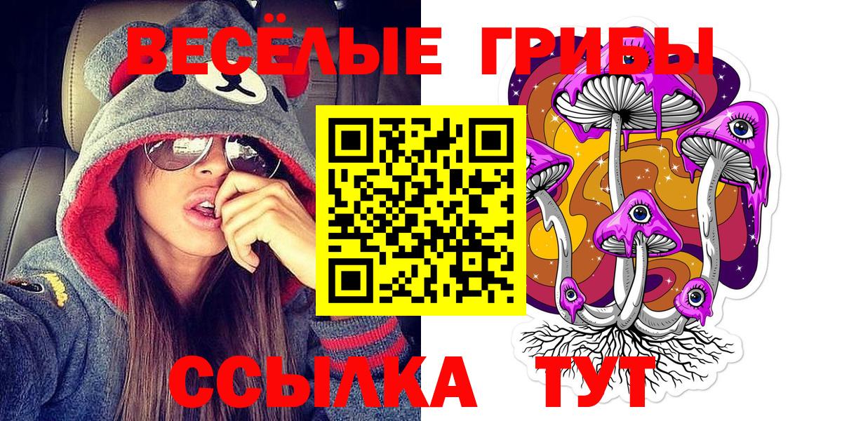 как найти   Галлюциногенные грибы мицелий  Вход с VPN  Шебекино 